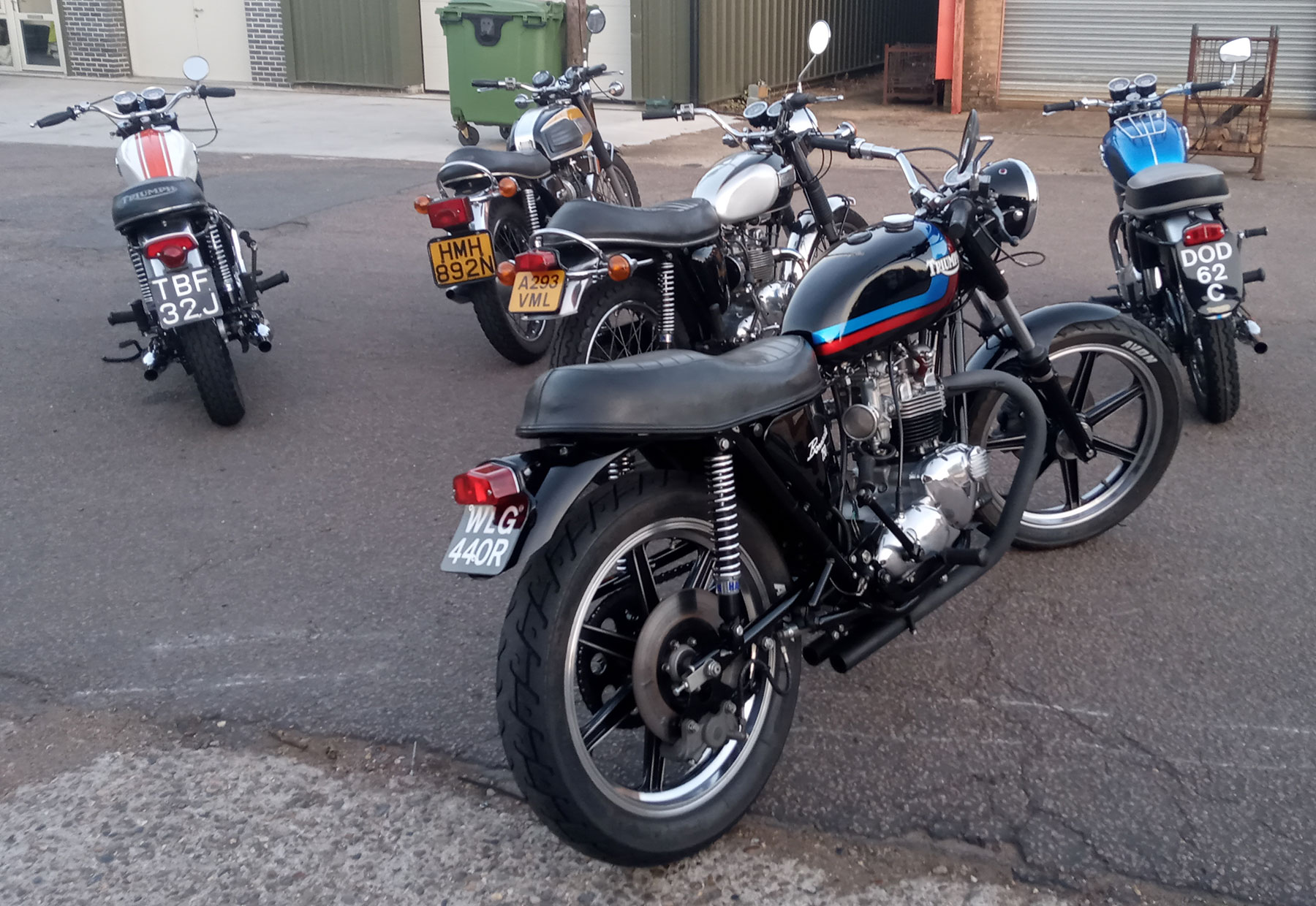 This 'gaggle' of Triumphs is proper eye candy!
